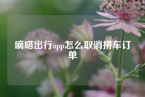 嘀嗒出行app怎么取消拼车订单  第1张