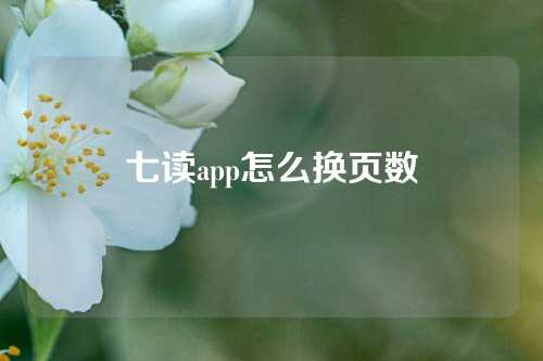 七读app怎么换页数  第1张