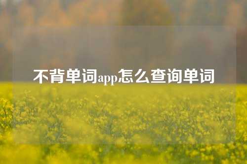 不背单词app怎么查询单词  第1张