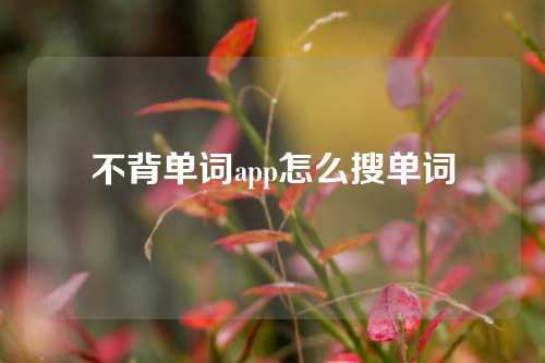 不背单词app怎么搜单词  第1张