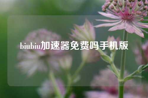 biubiu加速器免费吗手机版  第1张