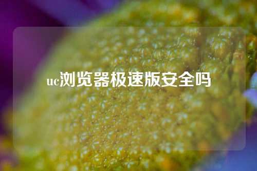 uc浏览器极速版安全吗  第1张