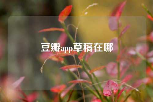 豆瓣app草稿在哪  第1张