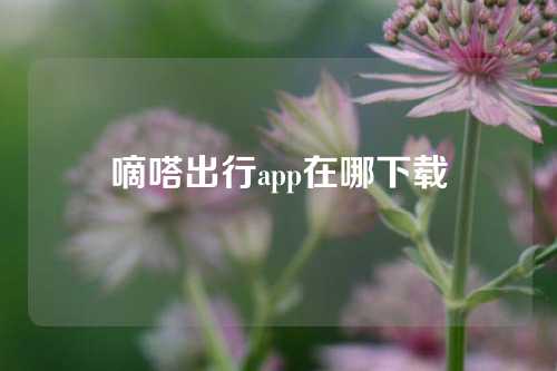 嘀嗒出行app在哪下载  第1张